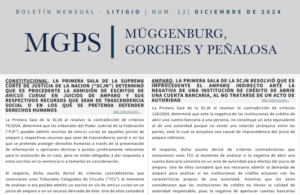 Boletín Mensual Litigio | No. 12 | Diciembre de 2024