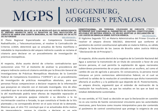 Boletín Mensual Litigio | No. 1 | Enero de 2025
