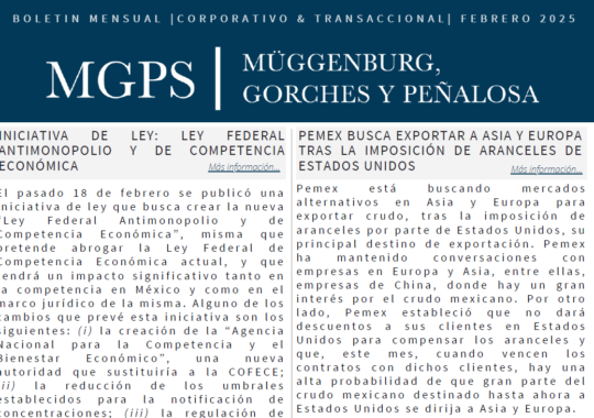 Boletín Mensual | Corporativo & Transaccional | Febrero de 2025